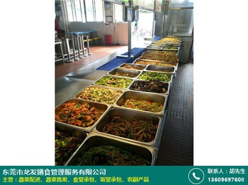 学校食堂承包现状与未来趋势