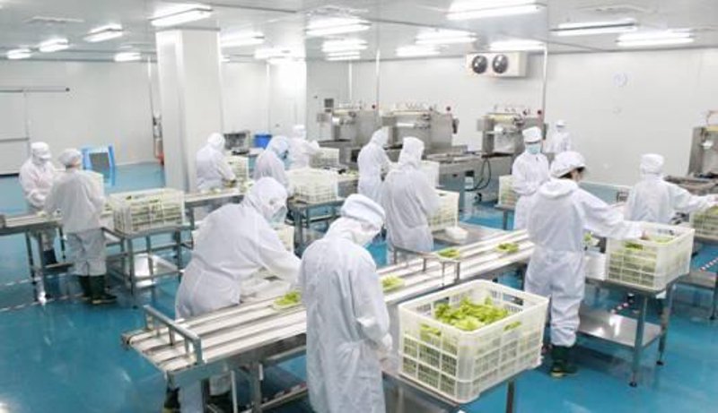 企业食堂托管的现状与变革
